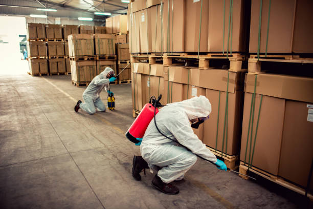 Best Pest Removal Services  in Callaway, FL